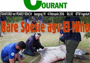 Rare Spesie agv El NiÃ±o